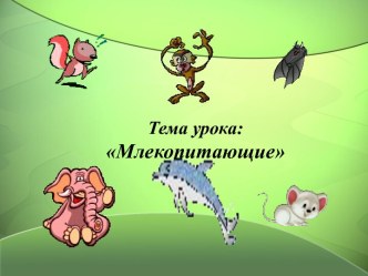 Млекопитающие