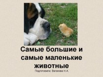 Самые большие и самые маленькие животные