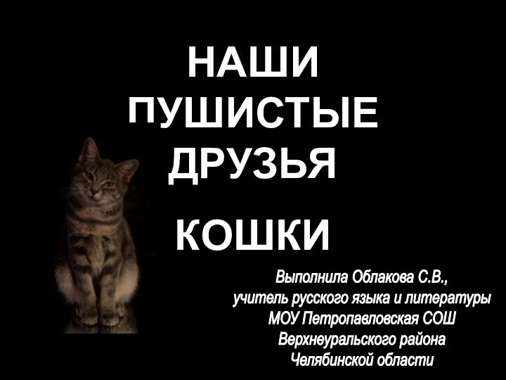 НАШИ ПУШИСТЫЕ ДРУЗЬЯКОШКИВыполнила Облакова С.В.,учитель русского языка и литературыМОУ Петропавловская СОШВерхнеуральского районаЧелябинской области