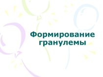 Формирование гранулемы