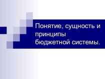 Понятие, сущность и принципы бюджетной системы