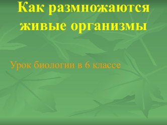 Как размножаются живые организмы