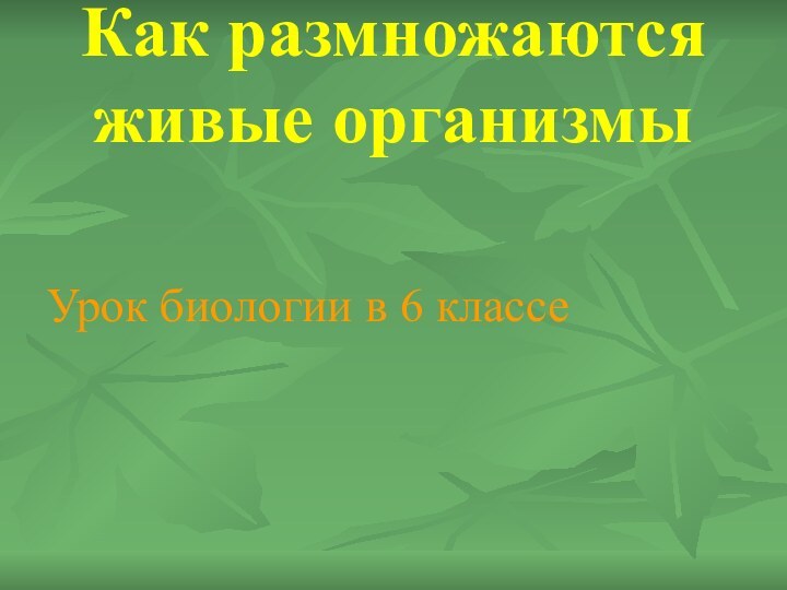 Как размножаются живые организмыУрок биологии в 6 классе