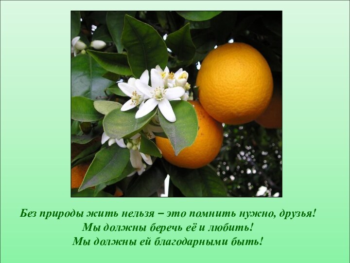 Без природы жить нельзя – это помнить нужно, друзья!Мы должны беречь её