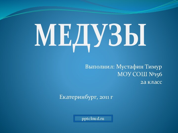 Выполнил: Мустафин ТимурМОУ СОШ №1562а классЕкатеринбург, 2011 гМЕДУЗЫ