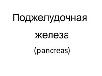 Поджелудочная железа (pancreas)