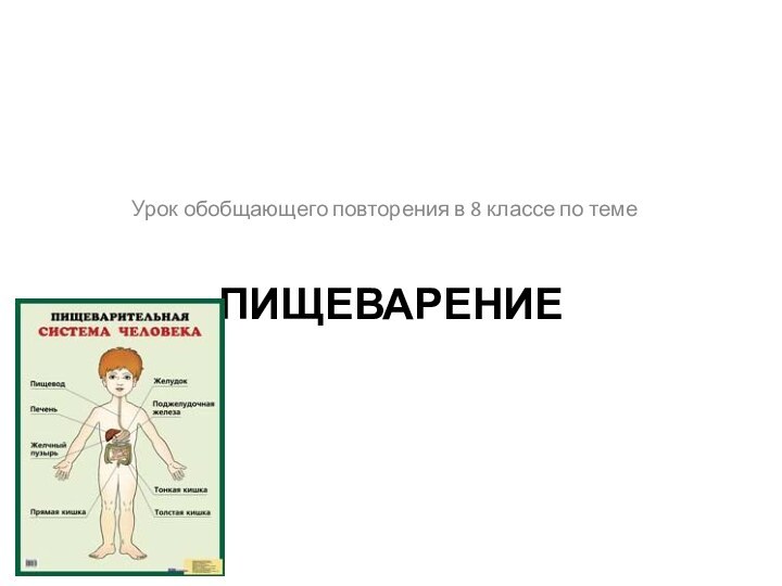 ПищеварениеУрок обобщающего повторения в 8 классе по теме