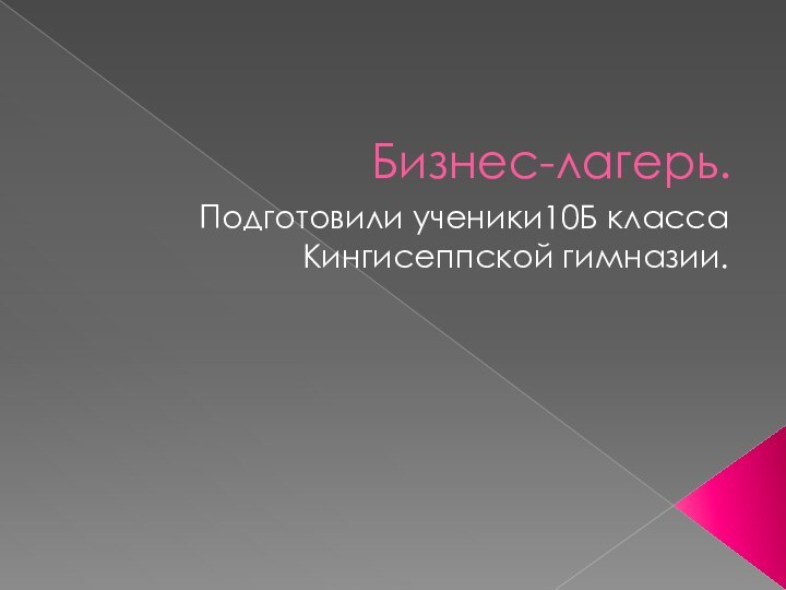 Бизнес-лагерь. Подготовили ученики10Б класса Кингисеппской гимназии.