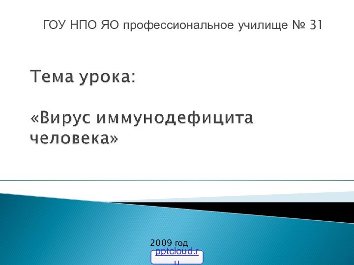 ГОУ НПО ЯО профессиональное училище № 312009 год