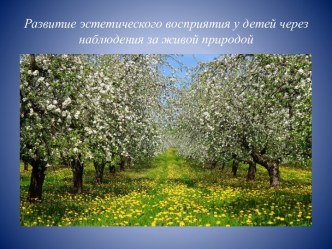 Развитие эстетического восприятия у детей через наблюдения за живой природой