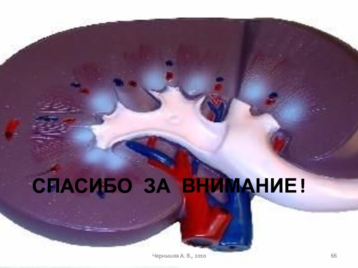 Спасибо за внимание!Чернышев А. В., 2010