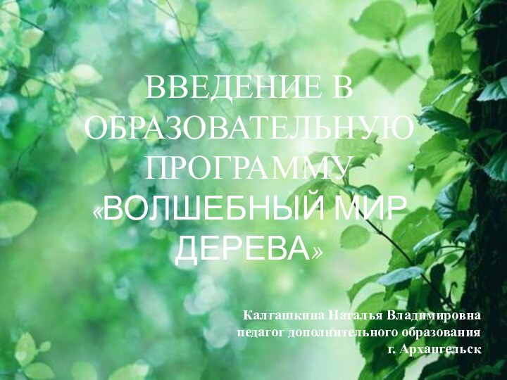 ВВЕДЕНИЕ В ОБРАЗОВАТЕЛЬНУЮ ПРОГРАММУ «ВОЛШЕБНЫЙ МИР ДЕРЕВА»Калгашкина Наталья Владимировнапедагог дополнительного образованияг. Архангельск