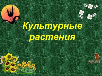 Культурные растения