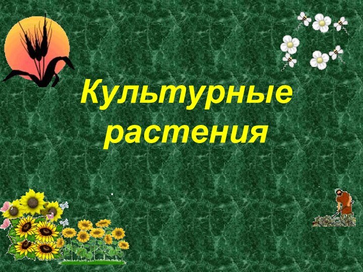 Культурные растения.