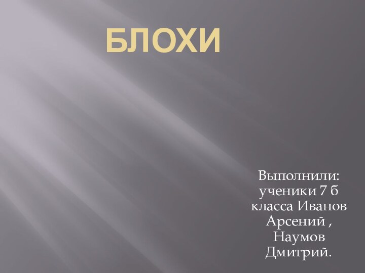 БлохиВыполнили: ученики 7 б класса Иванов Арсений ,Наумов Дмитрий.