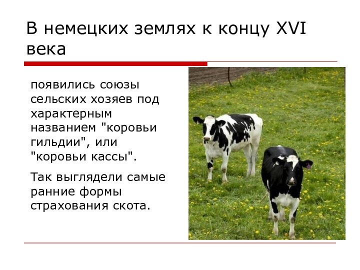В немецких землях к концу XVI века появились союзы сельских хозяев под