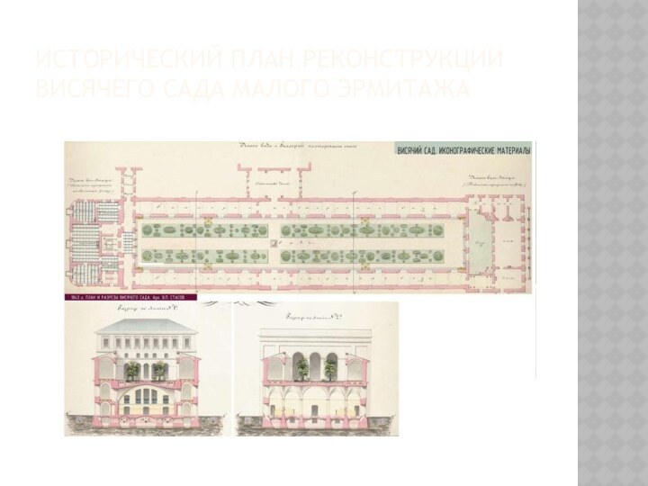 исторический план реконструкции Висячего сада Малого Эрмитажа