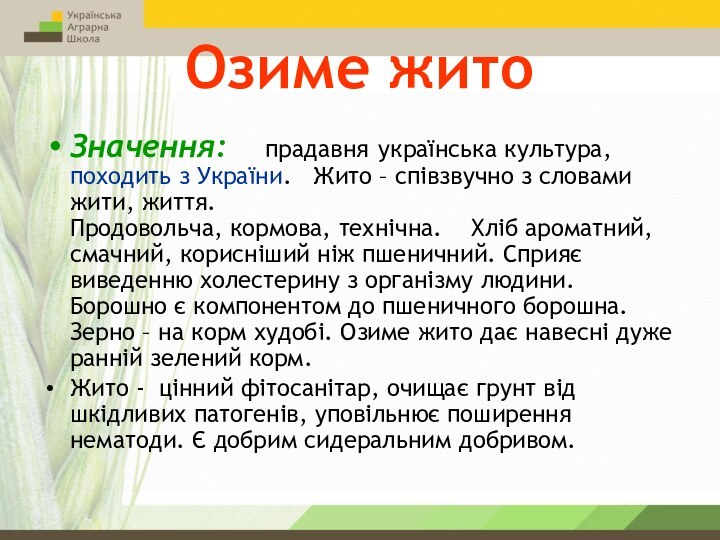 Озиме житоЗначення:  прадавня українська культура, походить з України.  Жито –