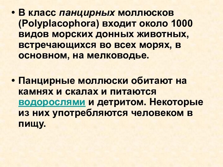 В класс панцирных моллюсков (Polyplacophora) входит около 1000 видов морских донных животных,