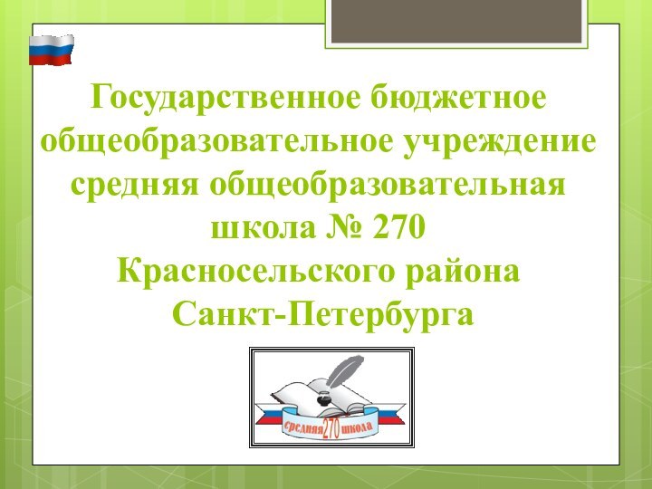 Государственное бюджетное общеобразовательное учреждение средняя общеобразовательная школа № 270