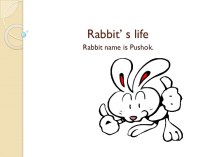 Rabbit’ s life