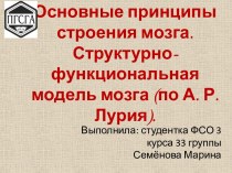 Основные принципы строения мозга. Структурно-функциональная модель мозга (по А. Р. Лурия).