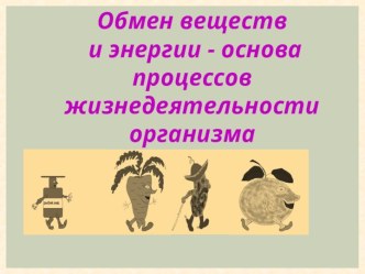 Обмен веществ и энергии - основа жизнедеятельности