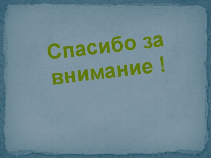 Спасибо за внимание !