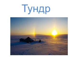 Тундра