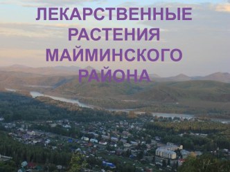 Лекарственные растения Майминского района