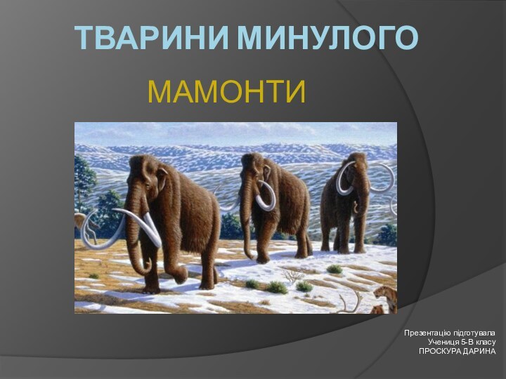 Тварини минулого  Презентацію підготувалаУчениця 5-В класуПРОСКУРА ДАРИНА МАМОНТИ