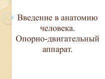 Введение в анатомию человека. Опорно-двигательный аппарат.