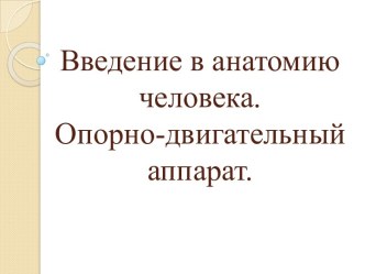 Введение в анатомию человека. Опорно-двигательный аппарат.