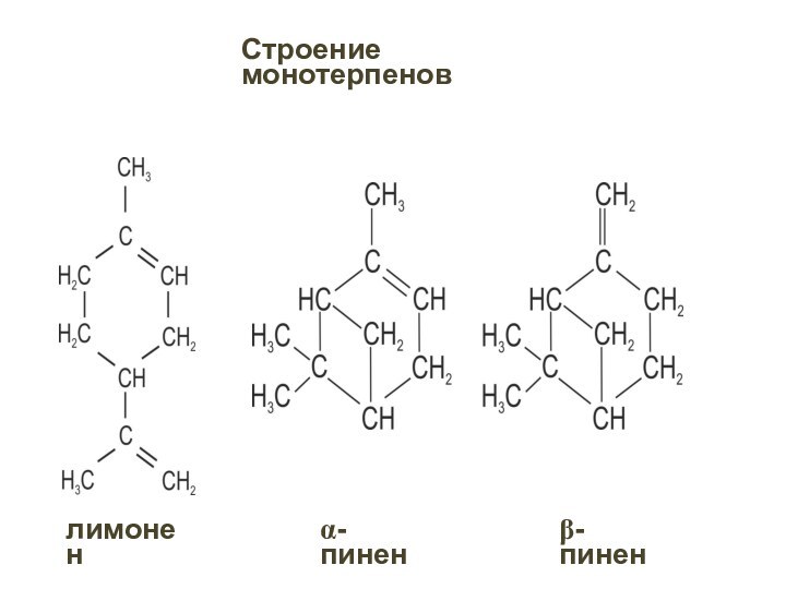 Строение монотерпеновлимоненa-пиненb-пинен