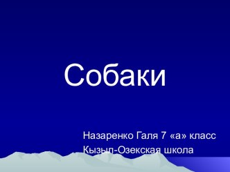 Собаки