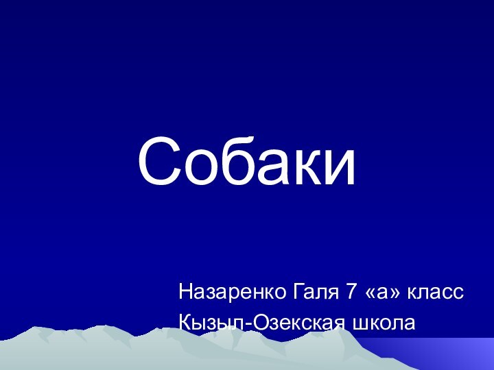 Назаренко Галя 7 «а» классКызыл-Озекская школаСобаки