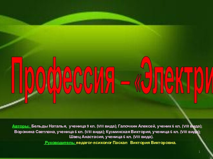 Профессия – «Электрик»Авторы: Бельды Наталья, ученица 9 кл. (VIII вида); Галочкин Алексей,