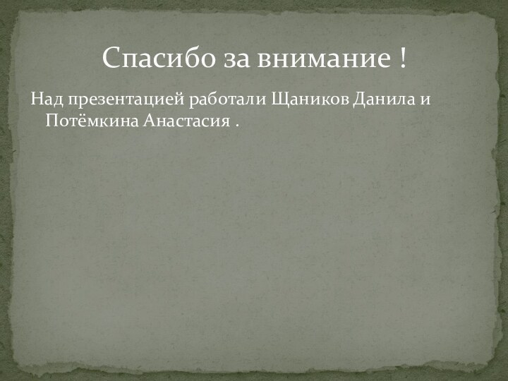 Над презентацией работали Щаников Данила и Потёмкина Анастасия .Спасибо за внимание !