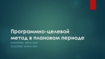 Программно-целевой метод в плановом периоде