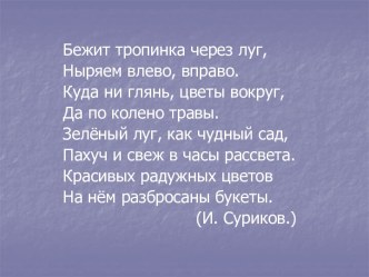 Жизнь луга