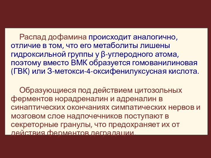 Распад дофамина происходит аналогично, отличие в том, что его метаболиты лишены гидроксильной