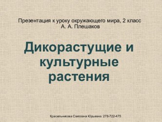 Дикорастущие и культурные растения