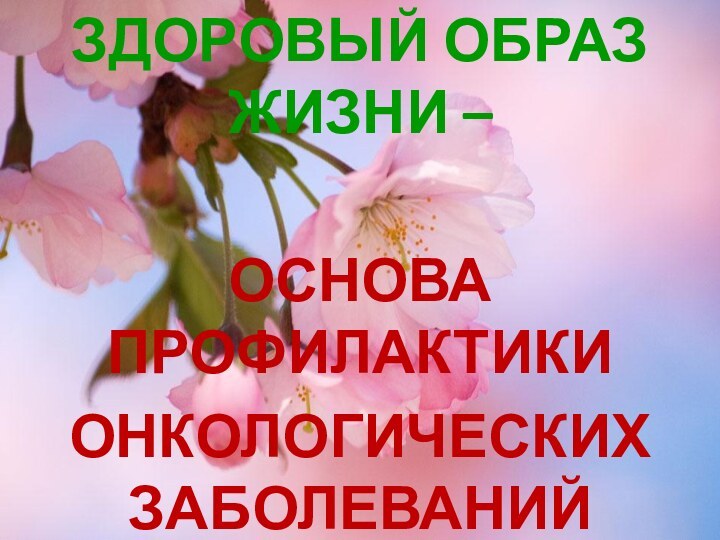 ЗДОРОВЫЙ ОБРАЗ ЖИЗНИ – ОСНОВА ПРОФИЛАКТИКИ ОНКОЛОГИЧЕСКИХ ЗАБОЛЕВАНИЙ