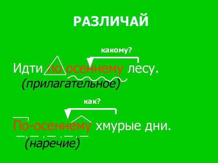 РАЗЛИЧАЙИдти по осеннему лесу.