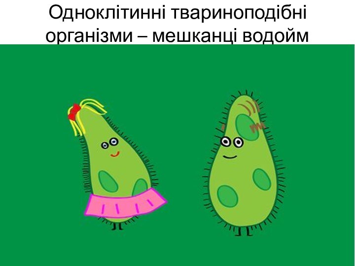 Одноклітинні твариноподібні організми – мешканці водойм