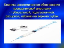 Клинико-анатомическое обоснование проводниковой анестезии                               ( туберальной, подглазничной, резцовой, небной) на верхних зубах