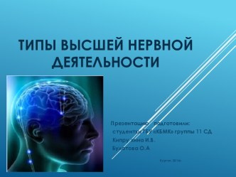 Типы высшей нервной деятельности