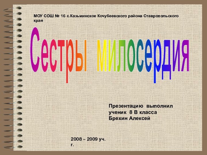 Сестры милосердияПрезентацию выполнил ученик 8 В классаБрехин АлексейМОУ СОШ № 16 с.Казьминское