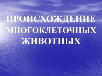 Происхождение многоклеточных животных