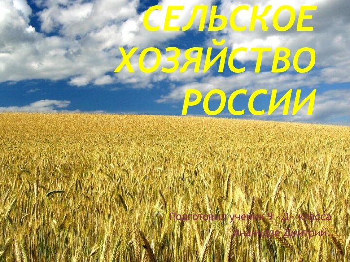 Сельское хозяйство РоссииПодготовил ученик 9 «Д» классаАнанидзе Дмитрий.